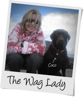 The Wag Lady with Coco